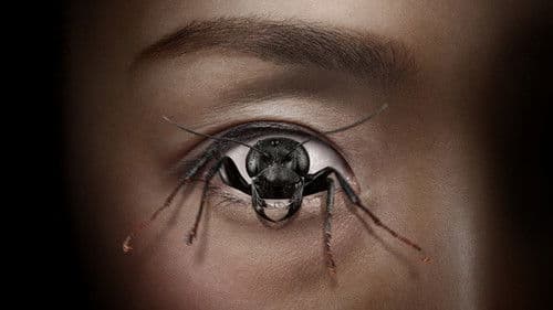 Control Freak Bild 3