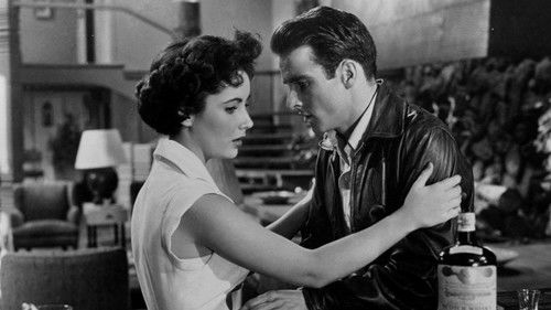 Ein Platz an der Sonne Bild 2