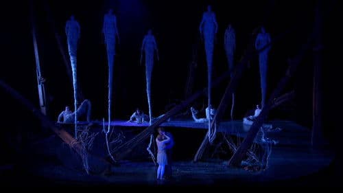 Dvořák:  Rusalka Bild 3