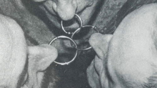 A Body to Live In Bild 5