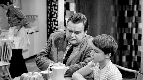 Zdravá vdova 29/169 Bild 1