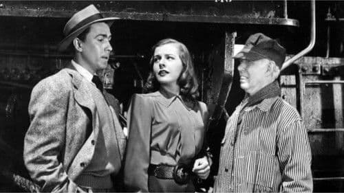 Special Agent Bild 7