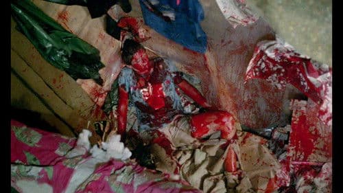 Ausflug in das Grauen Bild 4