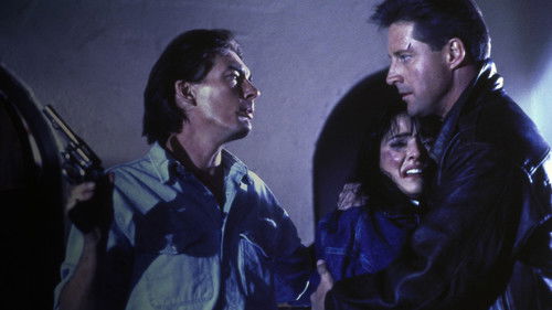 American Steel Bild 3