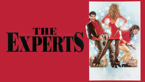 Die Experten Bild 3