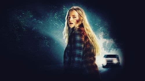 The Man in the White Van Bild 8