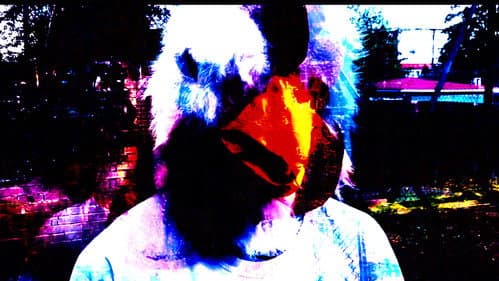 Why he got a chicken on his head? Bild 1