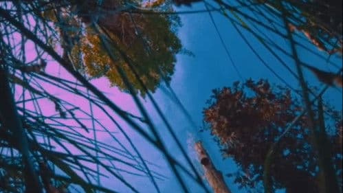 Hər Şeyin Nostaljiyası Bild 1