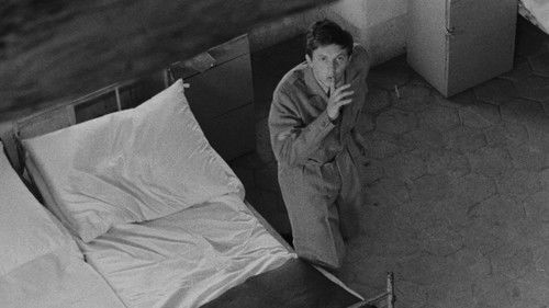 Případ pro začínajícího kata Bild 3