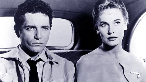 Kalter Wind im August Bild 3