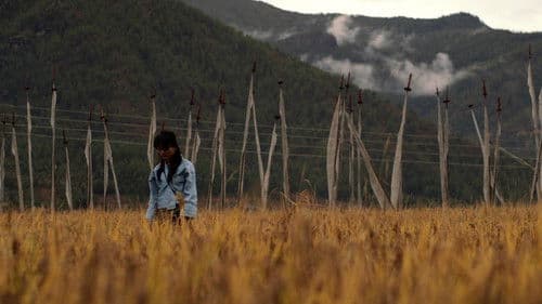 Lo Sum Choe Sum Bild 1