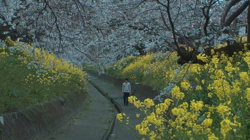 ヘヴンズ ストーリー Bild 2