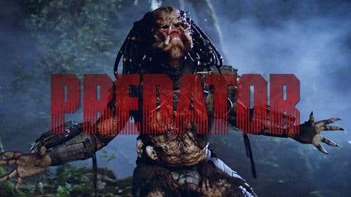 Predator Bild 8