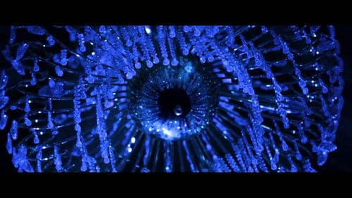 Дурлалын гэмт хэрэг Bild 3