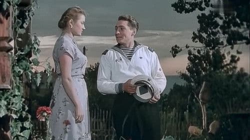 Звёзды на крыльях Bild 3