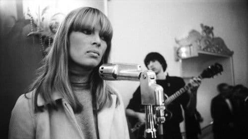 The Velvet Underground Bild 6