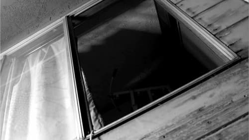 The Pale Night Bild 2