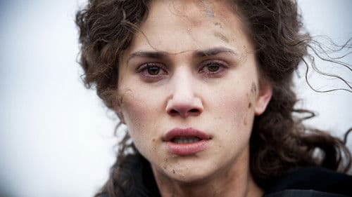 In Flanders Fields Bild 2