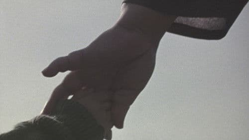 Tony Takitani Bild 2