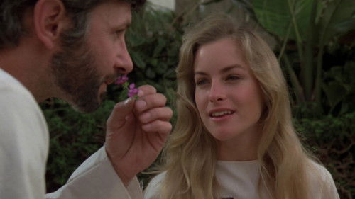 Die Macht der Fünf Bild 6