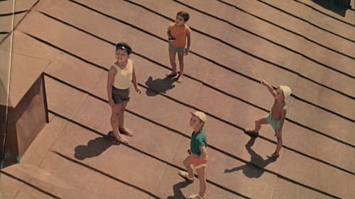 Der Sonne entgegen Bild 3