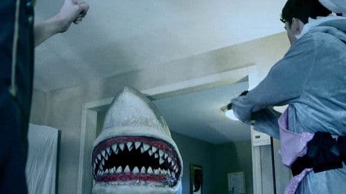 House Shark Bild 1