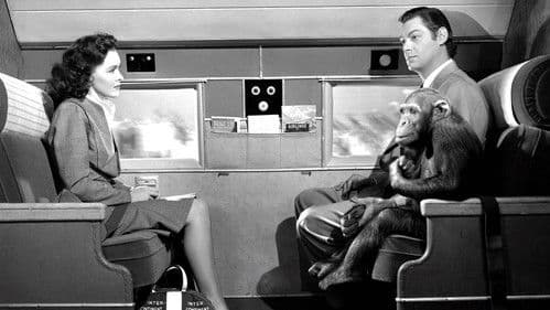 Tarzans Abenteuer in New York Bild 1