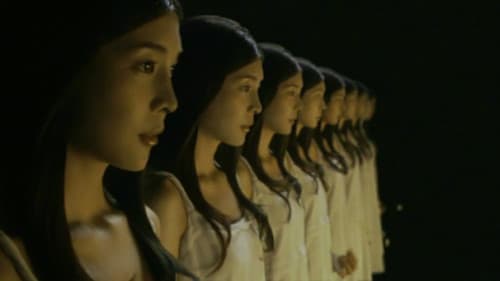 ショコラの見た世界 Bild 2