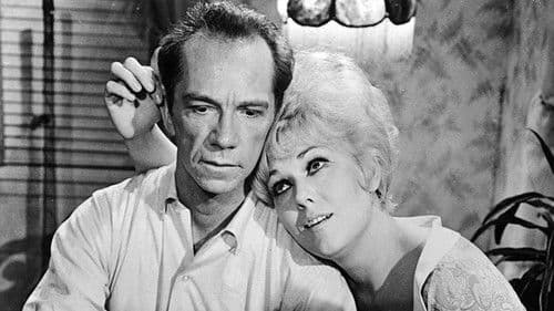 Küss mich, Dummkopf Bild 3