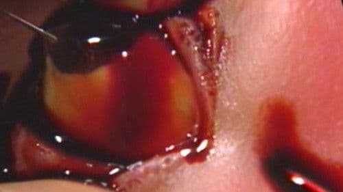 Guinea Pig 1: Devil's Experiment Bild 3