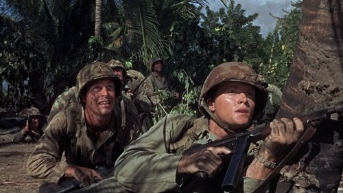 Blutiger Strand Bild 4