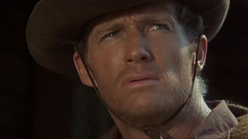 Wanted Sabata Bild 1