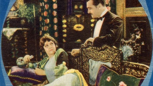 Shanghai Rose Bild 1