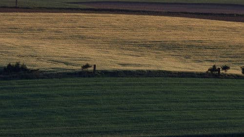 Es beginnt heute Bild 4