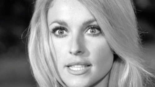 Die schwarze 13 Bild 7