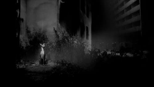 Songs for a Passerby Bild 1