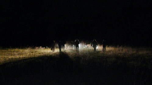 Jimmy Jaguár Bild 4