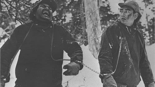 網走番外地 Bild 2