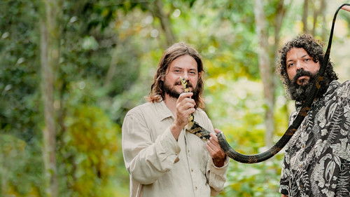 Em Busca das Cobras Bild 5