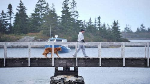 Jesse Stone - Verlorene Unschuld Bild 4