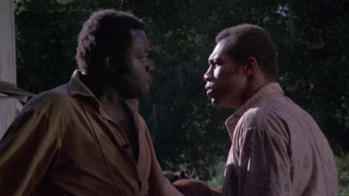 Die Sklavenhölle der Mandingos Bild 5