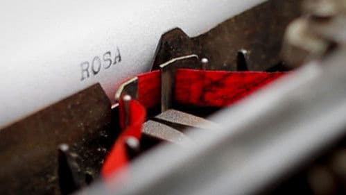 Rosa - Lebe deine Fantasie Bild 2