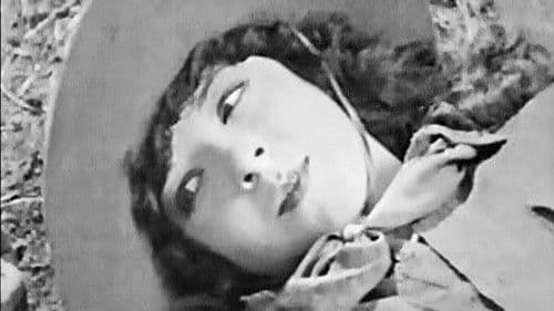 The Sky Pilot Bild 8