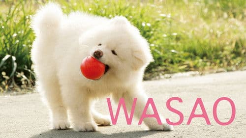 Chiko - Eine Freundschaft fürs Leben Bild 3