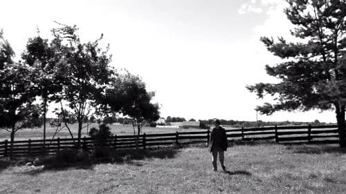 Klasyczne samobójstwo Bild 1