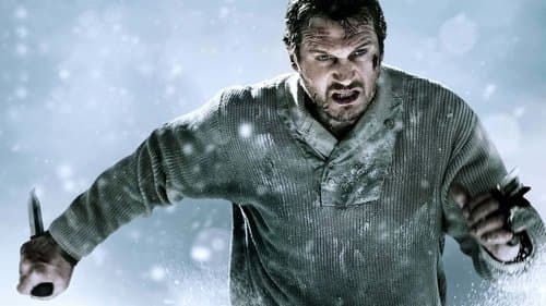 The Grey - Unter Wölfen Bild 4