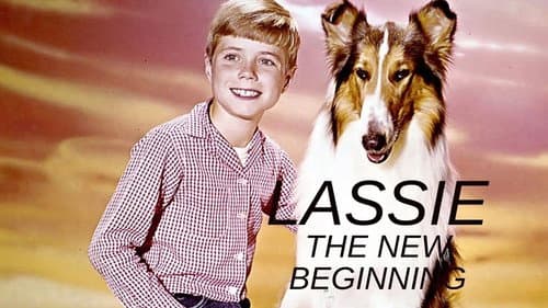 Lassie - Ein neuer Anfang Bild 3