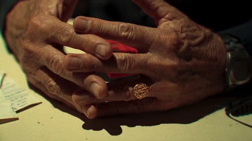 Remisse Navidad Bild 6