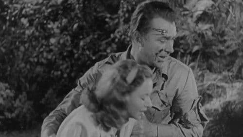 Angel on the Amazon Bild 5