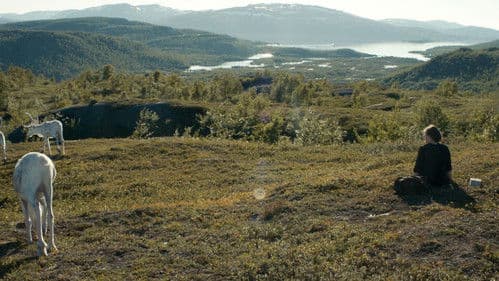 Das Mädchen aus dem Norden Bild 6